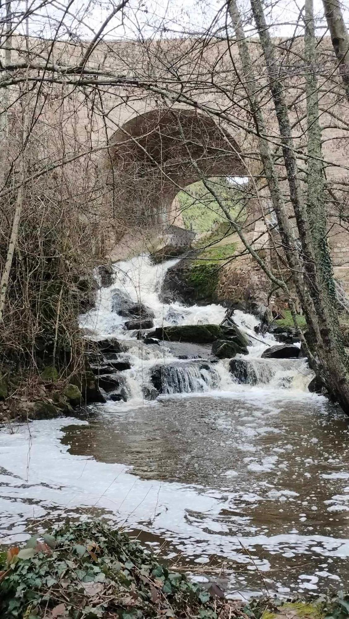 Gite "La Petite" Saint-Benoit-du-Sault Bagian luar foto